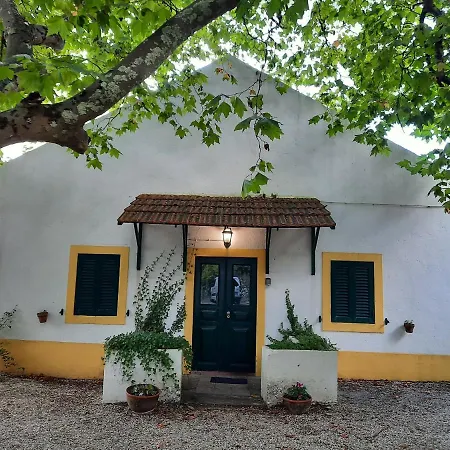 Montejunto - Casa Do Plátano