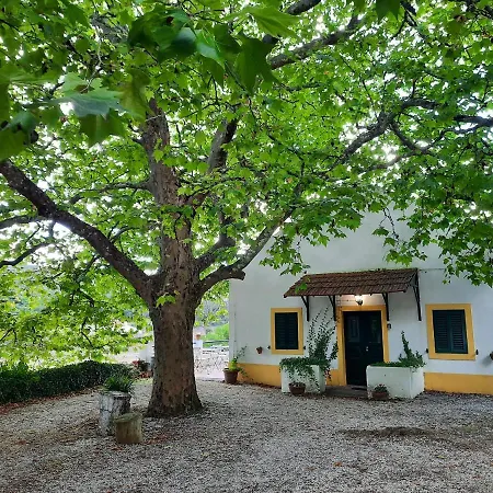 Montejunto - Casa Do Plátano