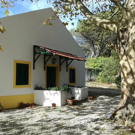 Montejunto - Casa Do Platano Cadaval