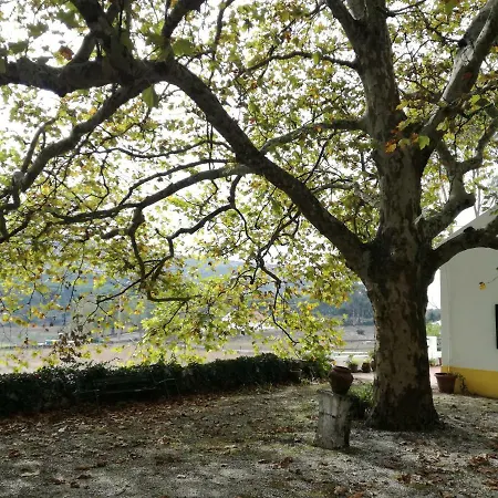 Montejunto - Casa Do Platano Hébergement de vacances *