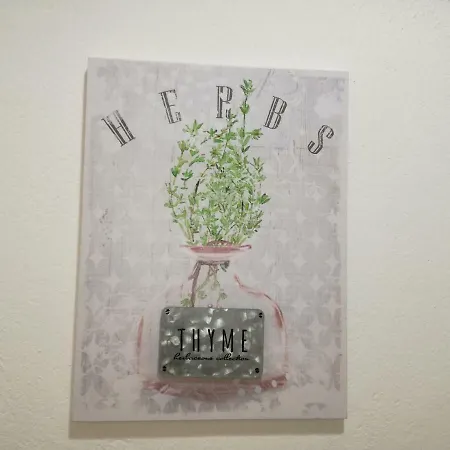 Montejunto - Casa Do Platano Semesterbostad *