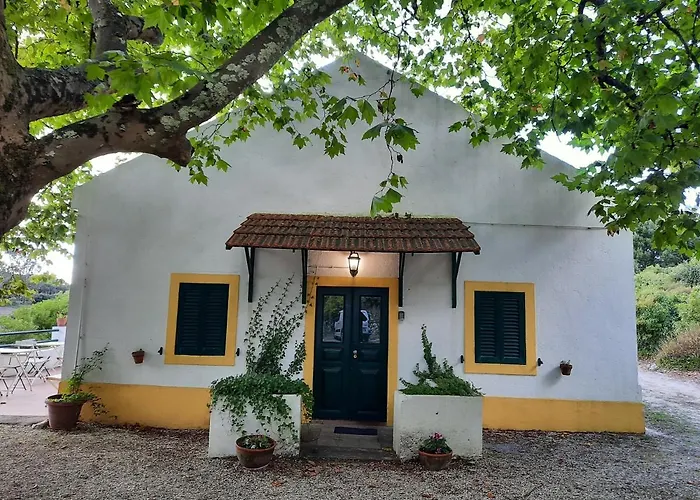 Montejunto - Casa Do Plátano