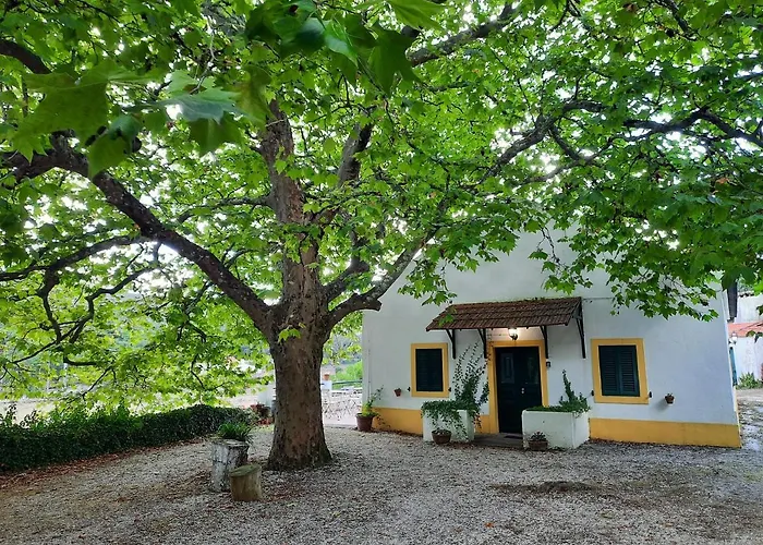 Montejunto - Casa Do Plátano