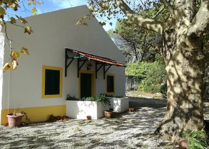 Montejunto - Casa Do Platano Cadaval