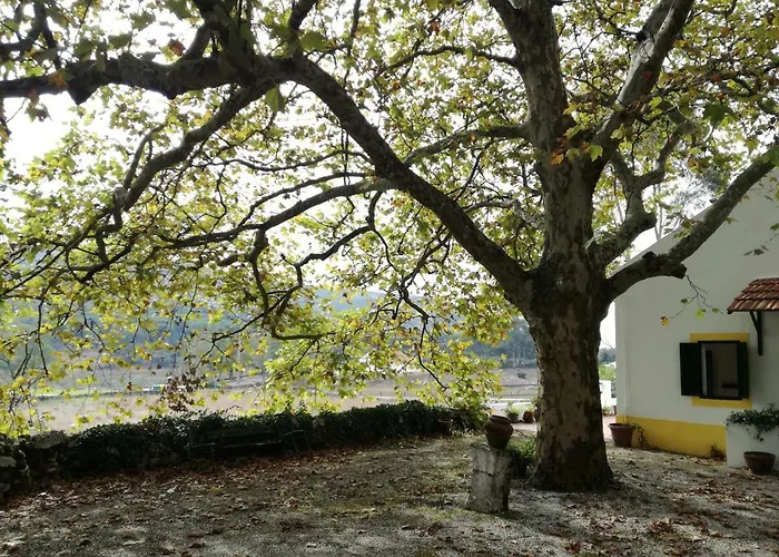 Montejunto - Casa Do Platano בית נופש *